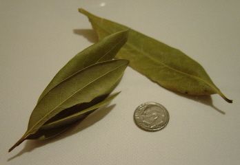 Bay Leaf (daun bay)