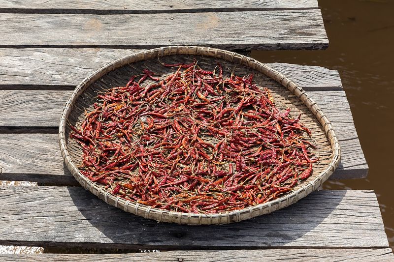 Cili (chilli)