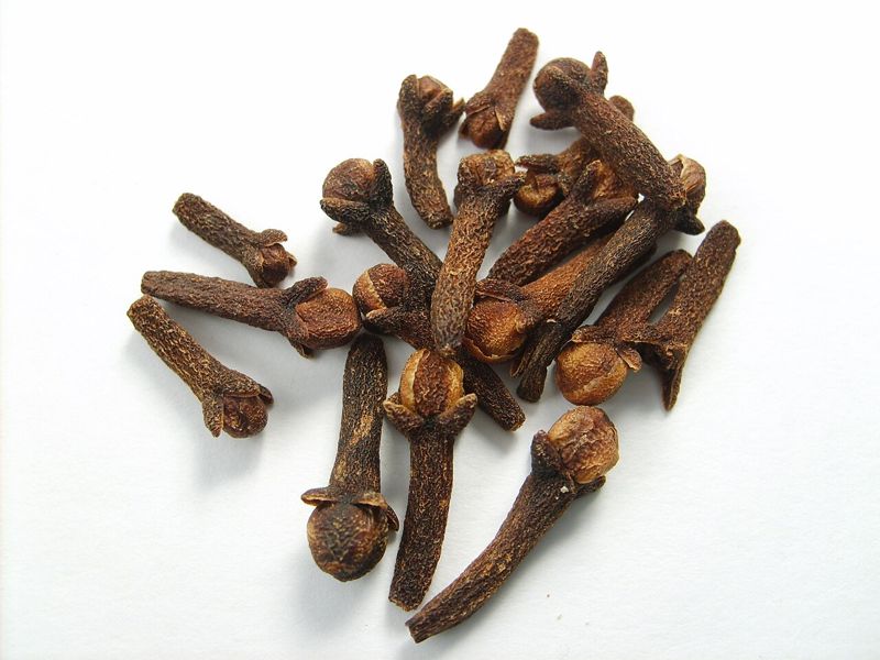 Cloves (bunga cengkih)