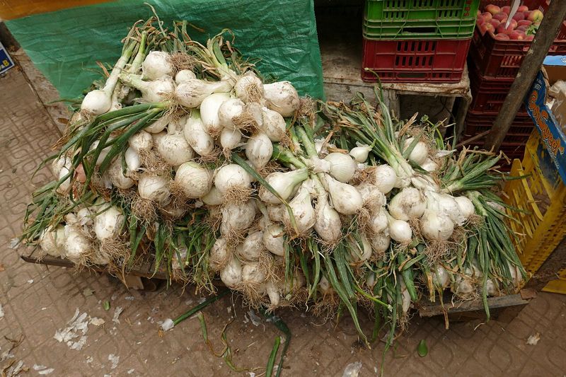 Spring Onion (daun bawang)