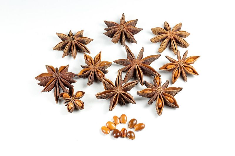 Star Anise (bunga lawang)